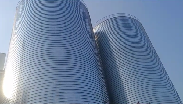 华宁2座混凝土高架卷板仓